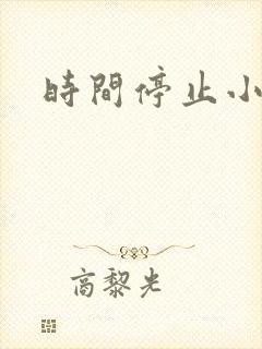 时间停止小说