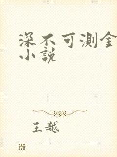 深不可测金银花小说封面