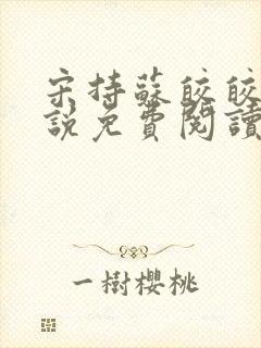 宋持苏皎皎的小说免费阅读