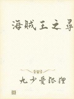 海贼王之寻亲记