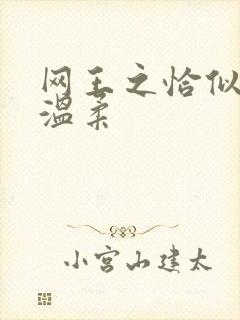 网王之恰似你的温柔