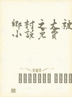 乡村之大被同眠小说免费