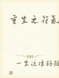 重生之符气冲天封面