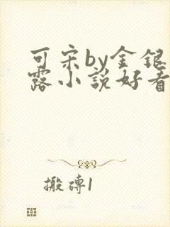 可宋by金银花露小说好看吗