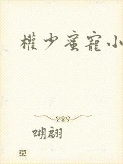 权少蜜宠小娇妻封面