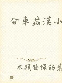 公车痴汉小说