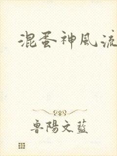 混蛋神风流