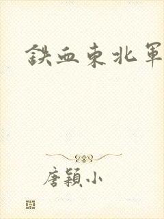 铁血东北军