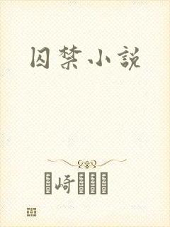 囚禁小说