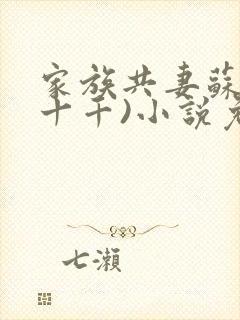 家族共妻苏苏(十千)小说免费