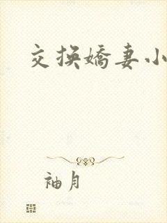 交换娇妻小说