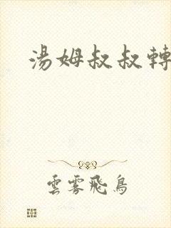 汤姆叔叔转接口