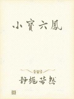 小宝六凤