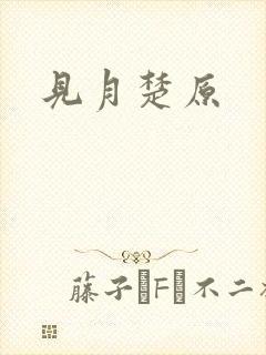 见月楚原