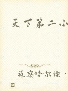 天下第二小说