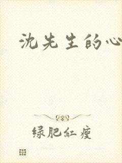 沈先生的心头宝