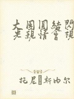 大团圆结闪闪发光亲情会视频