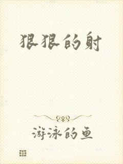 狠狠的射