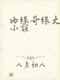内缘奇缘大团圆小说