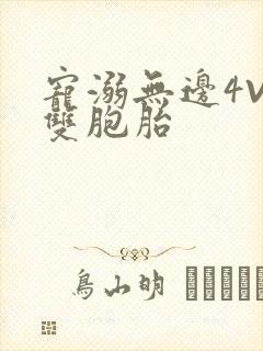 宠溺无边4V2双胞胎