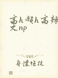 高h超h高辣h文np