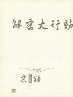 解密大行动