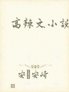 高辣文小说