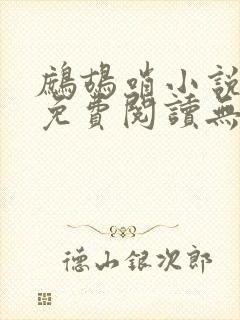 鹧鸪哨小说网站免费阅读无弹窗