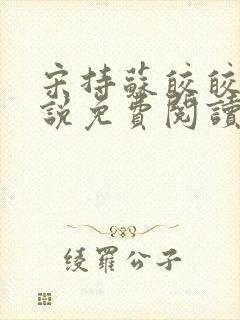 宋持苏皎皎的小说免费阅读