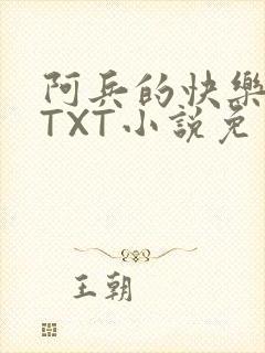 阿兵的快乐生活TXT小说免费阅读全章