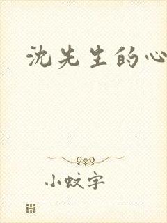 沈先生的心头宝