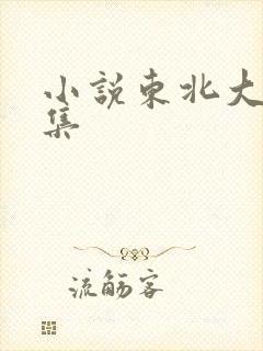 小说东北大炕全集