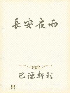 长安夜雨