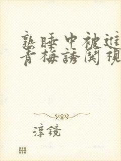 熟睡中被进了H青梅诱哄视频