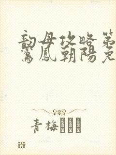 韵母攻略第二部鸾凤朝阳免费阅读