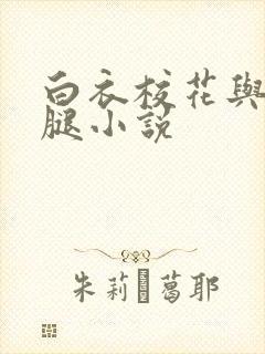 白衣校花与大长腿小说