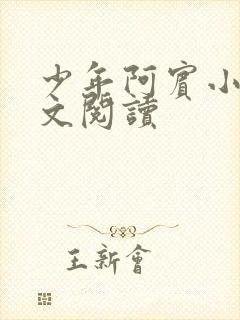 少年阿宾小说全文阅读