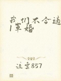 我们不合适1v1军婚