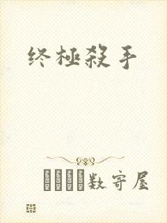 终极杀手