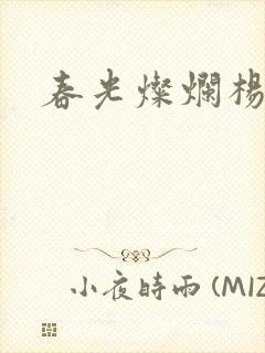 春光灿烂杨家将