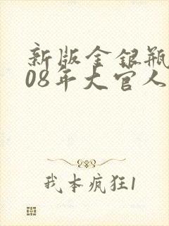 新版金银瓶2008年大官人