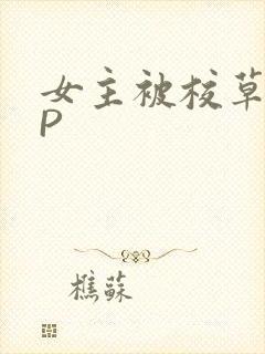 女主被校草们NP