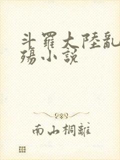 斗罗大陆乱世浮殇小说