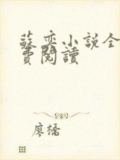 苏奕小说全文免费阅读