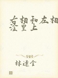 右相和左相一起淦皇上