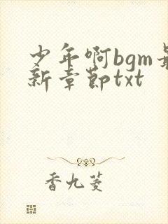 少年啊bgm最新章节txt