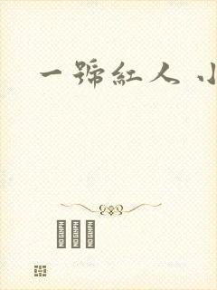 一号红人 小说