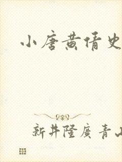 小唐黄倩史