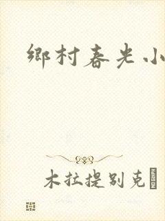 乡村春光小说