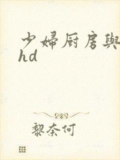 《少妇厨房与子伦hd》小说封面